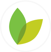 Shaws logo